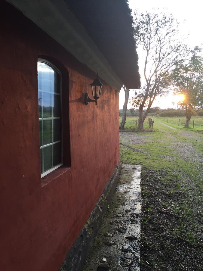 Alsbrogaard Bed & Breakfast Bramming Exterior photo